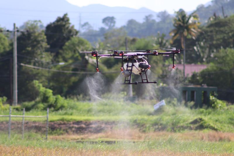 Spray drones flying over a rice field during an IRRI rice drone demonstration in Calabarzon, Philippines